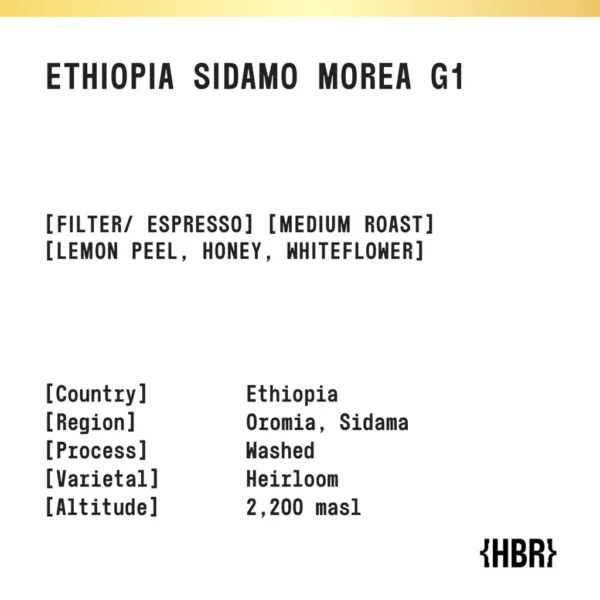 sg-11134201-82616-mj9k4vnhrmkl91.webp Ethiopia Sidamo Morea G1 10g